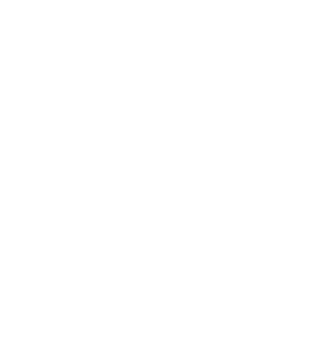Secure Autoglas